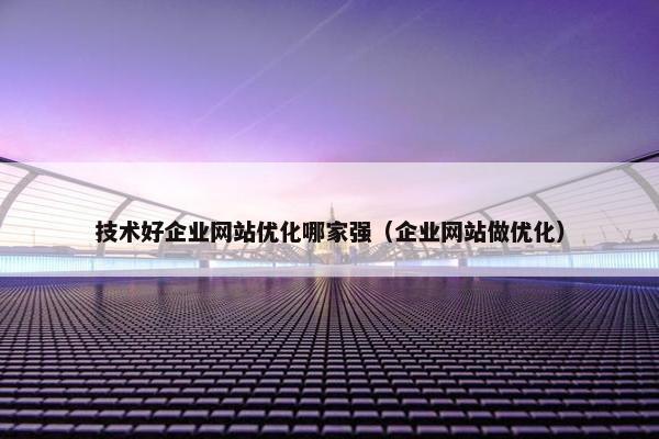 技术好企业网站优化哪家强（企业网站做优化）