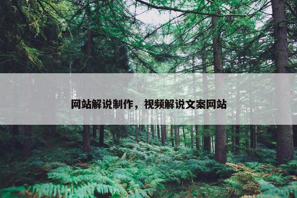 网站解说制作，视频解说文案网站