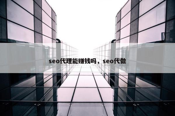 seo代理能赚钱吗，seo代做