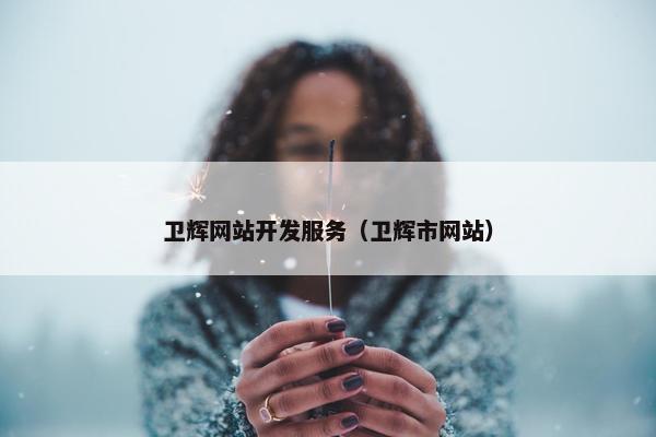 卫辉网站开发服务（卫辉市网站）