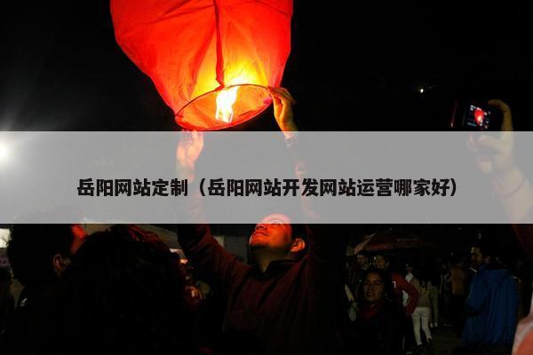 岳阳网站定制（岳阳网站开发网站运营哪家好）