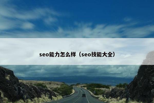 seo能力怎么样（seo技能大全）
