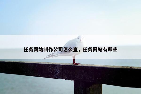 任务网站制作公司怎么查，任务网站有哪些