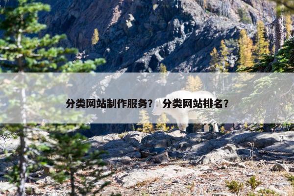 分类网站制作服务？ 分类网站排名？