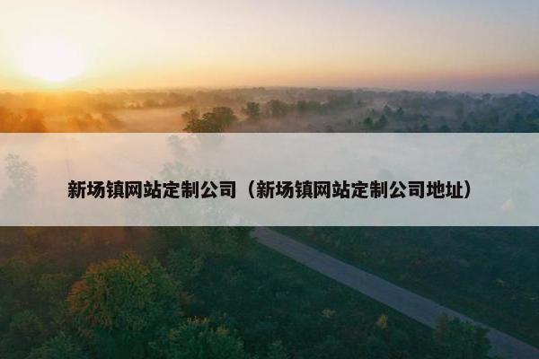 新场镇网站定制公司（新场镇网站定制公司地址）