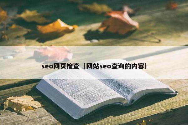 seo网页检查（网站seo查询的内容）