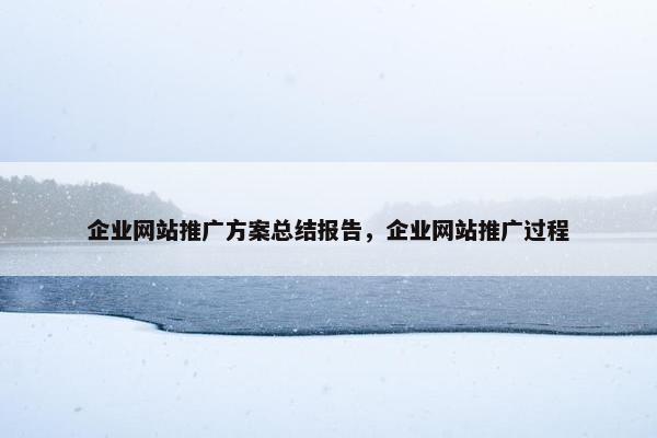 企业网站推广方案总结报告，企业网站推广过程