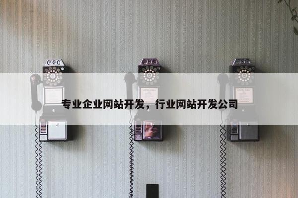 专业企业网站开发，行业网站开发公司