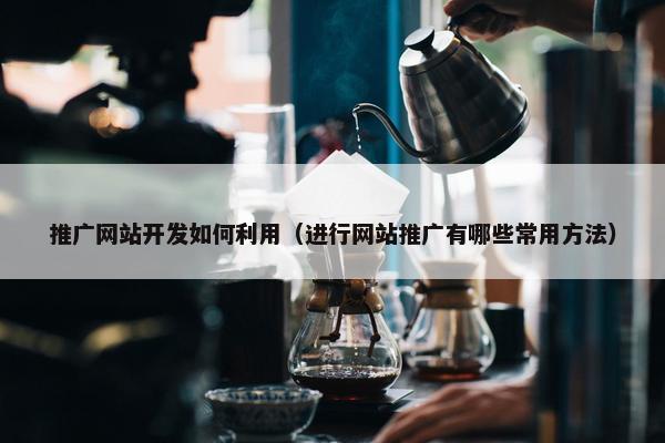 推广网站开发如何利用（进行网站推广有哪些常用方法）