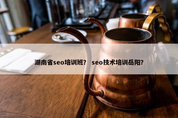 湖南省seo培训班？ seo技术培训岳阳？