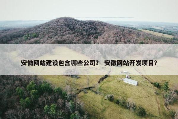 安徽网站建设包含哪些公司？ 安徽网站开发项目？