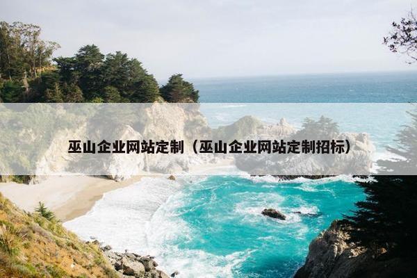 巫山企业网站定制（巫山企业网站定制招标）