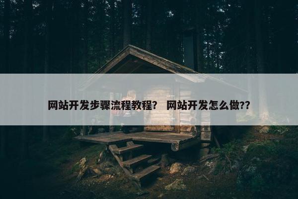 网站开发步骤流程教程？ 网站开发怎么做?？