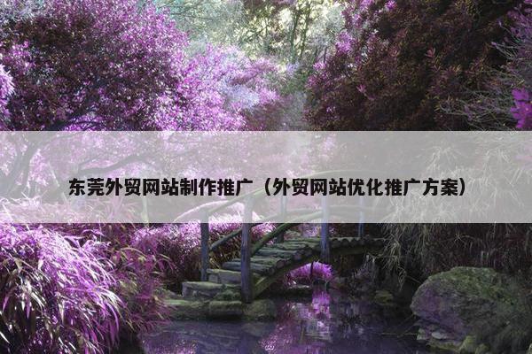 东莞外贸网站制作推广（外贸网站优化推广方案）