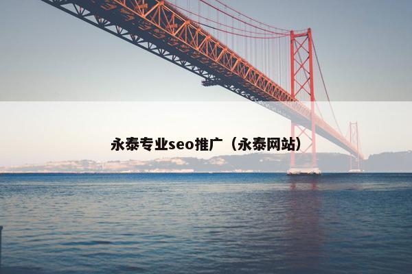 永泰专业seo推广（永泰网站）