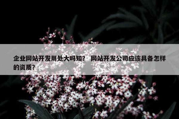 企业网站开发用处大吗知？ 网站开发公司应该具备怎样的资质？