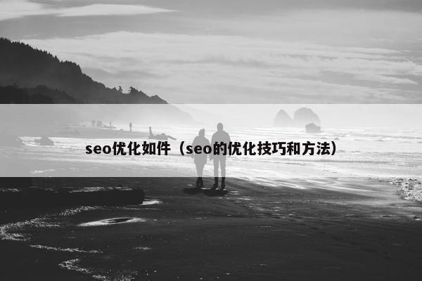 seo优化如件（seo的优化技巧和方法）