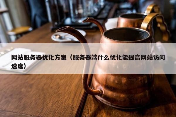 网站服务器优化方案（服务器端什么优化能提高网站访问速度）
