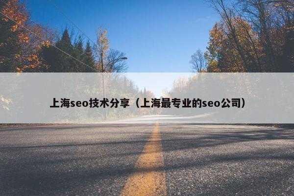 上海seo技术分享（上海最专业的seo公司）