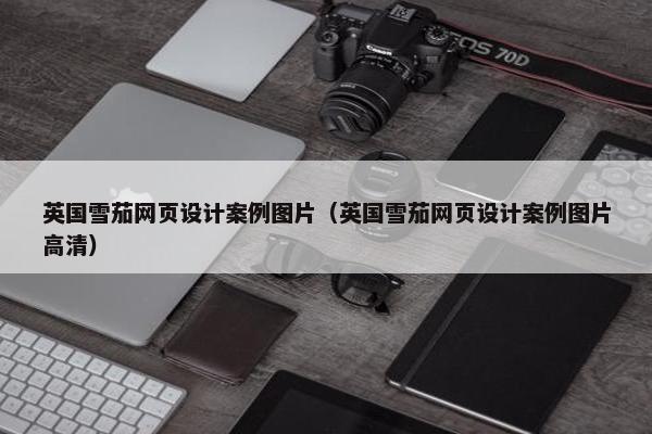 英国雪茄网页设计案例图片（英国雪茄网页设计案例图片高清）