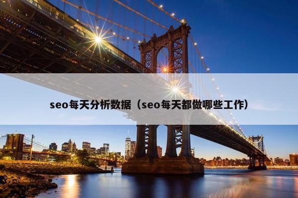 seo每天分析数据（seo每天都做哪些工作）