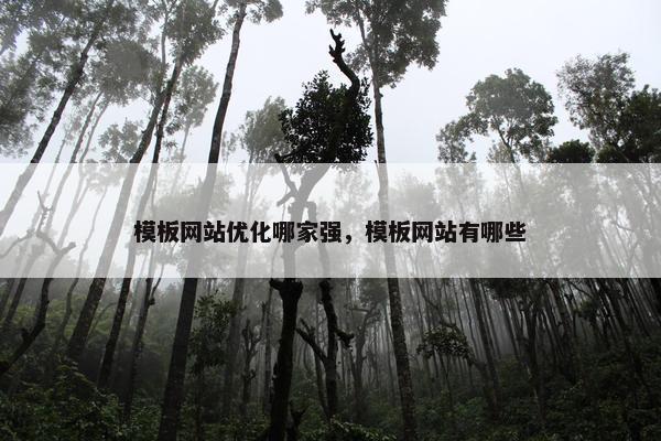 模板网站优化哪家强，模板网站有哪些