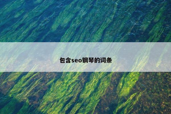 包含seo钢琴的词条