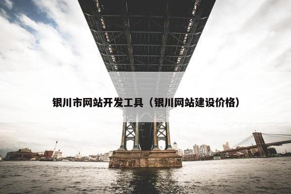 银川市网站开发工具（银川网站建设价格）