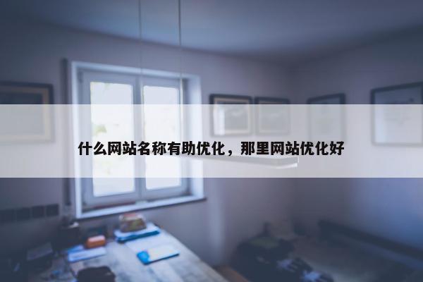 什么网站名称有助优化，那里网站优化好