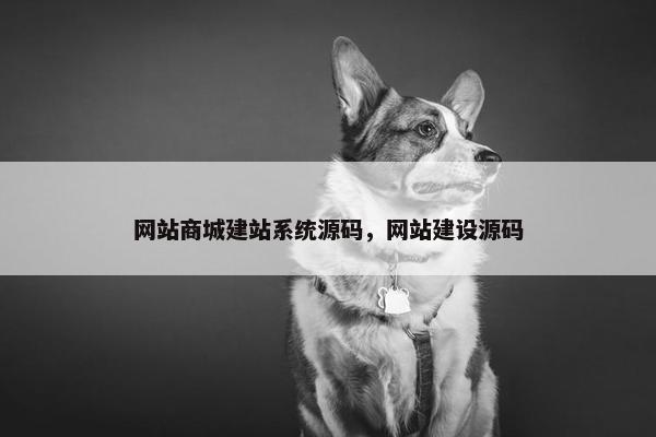 网站商城建站系统源码，网站建设源码
