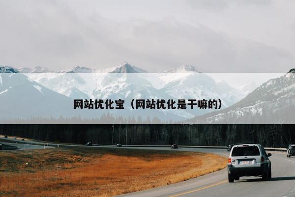 网站优化宝（网站优化是干嘛的）