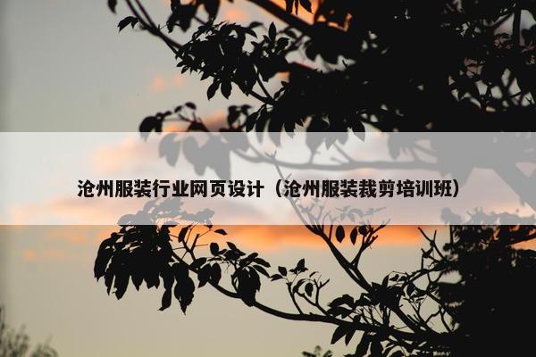 沧州服装行业网页设计（沧州服装裁剪培训班）