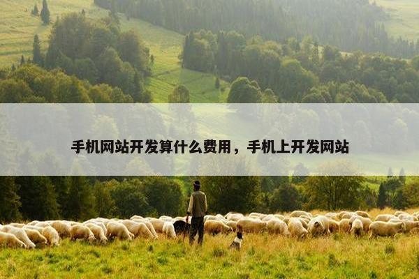 手机网站开发算什么费用，手机上开发网站