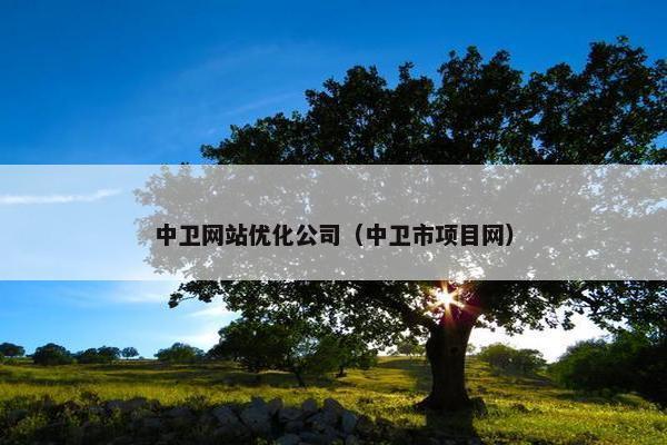 中卫网站优化公司（中卫市项目网）