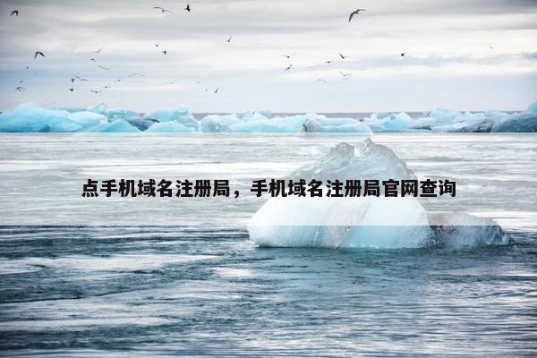 点手机域名注册局，手机域名注册局官网查询