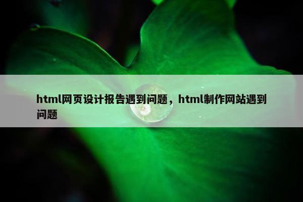 html网页设计报告遇到问题，html制作网站遇到问题