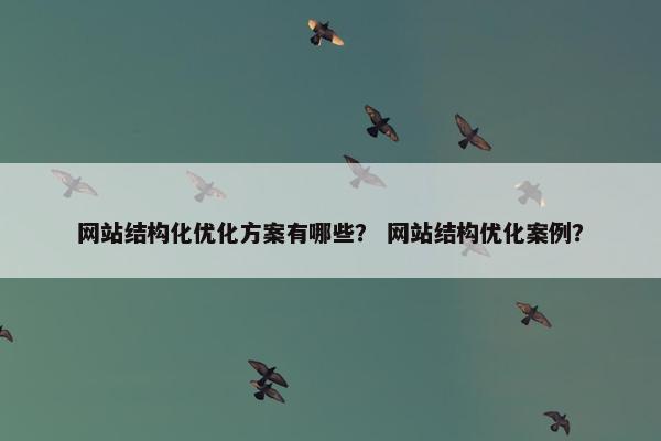 网站结构化优化方案有哪些？ 网站结构优化案例？