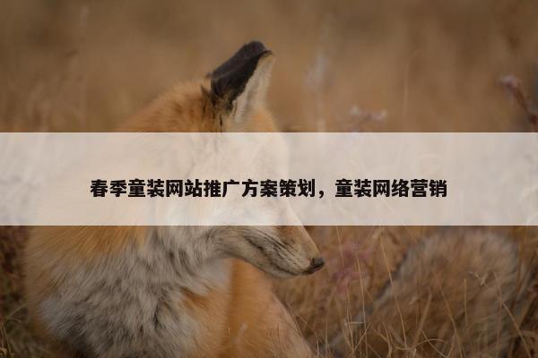 春季童装网站推广方案策划，童装网络营销