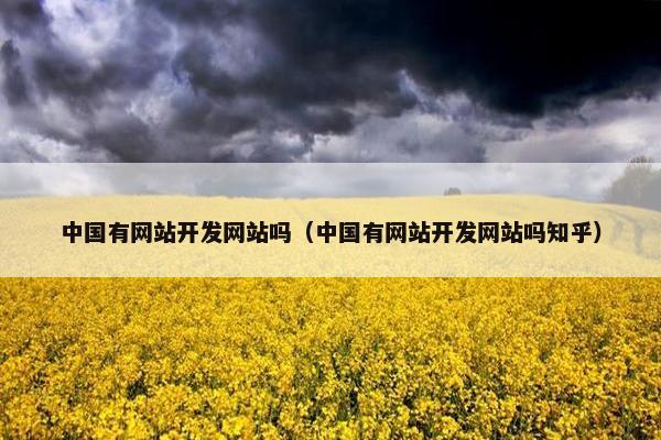 中国有网站开发网站吗（中国有网站开发网站吗知乎）