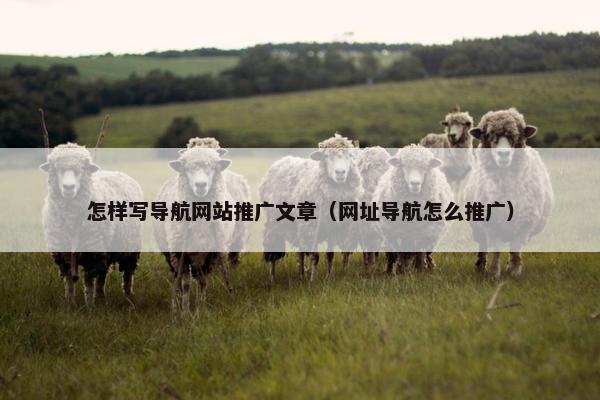怎样写导航网站推广文章（网址导航怎么推广）