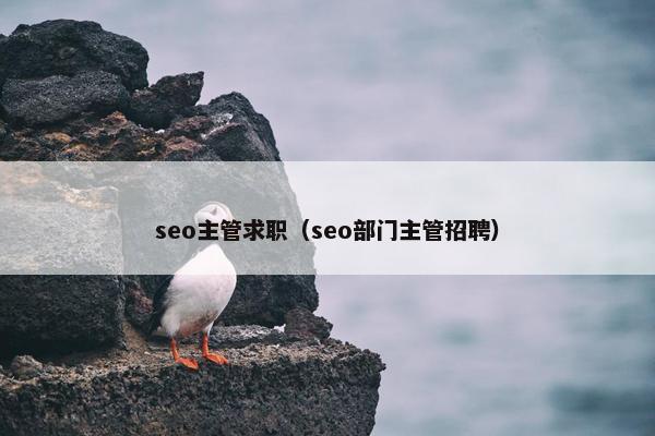 seo主管求职（seo部门主管招聘）