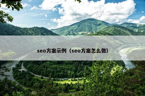 seo方案示例（seo方案怎么做）