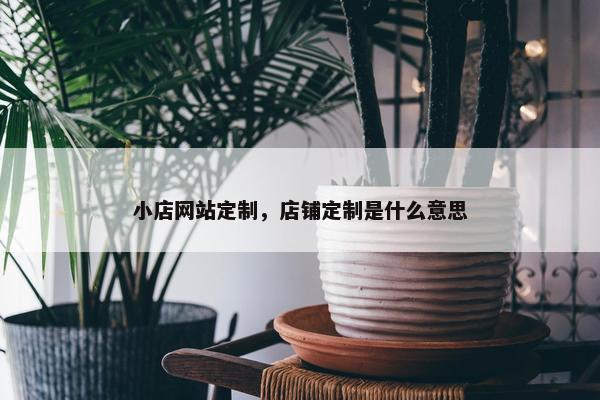 小店网站定制，店铺定制是什么意思