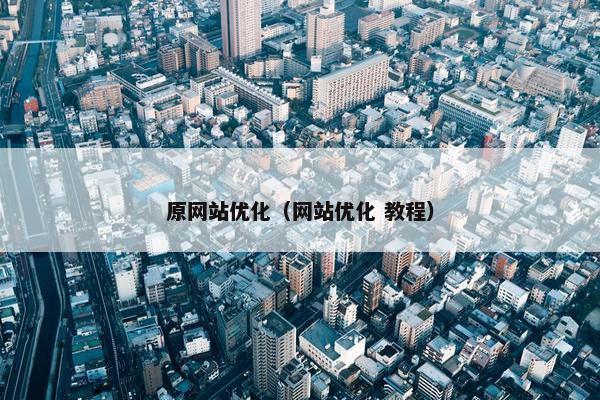 原网站优化（网站优化 教程）
