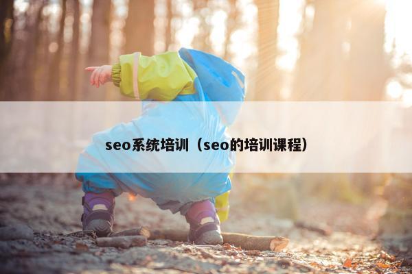 seo系统培训（seo的培训课程）