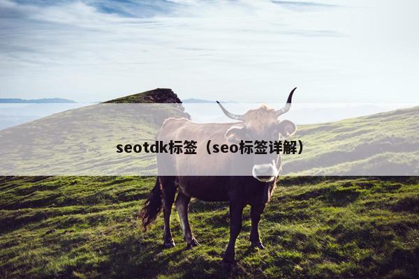 seotdk标签（seo标签详解）