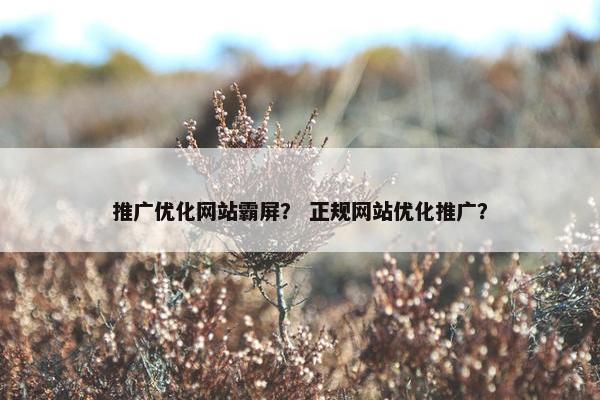 推广优化网站霸屏？ 正规网站优化推广？