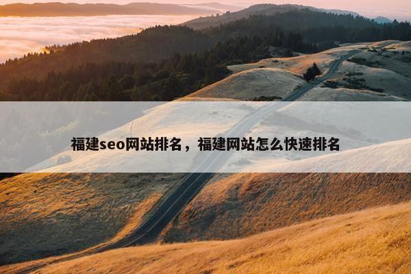 福建seo网站排名，福建网站怎么快速排名