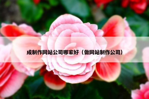 成制作网站公司哪家好（做网站制作公司）