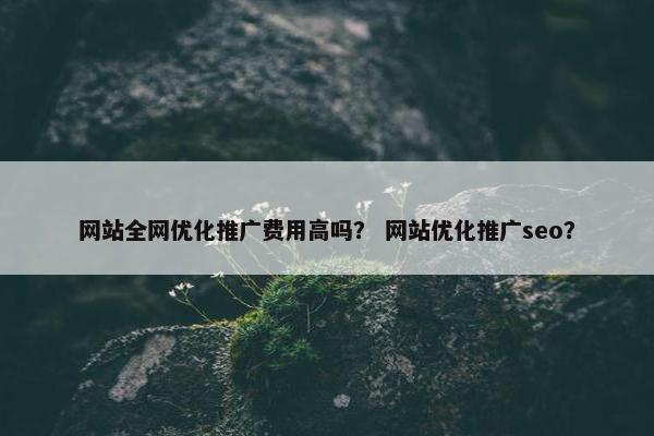 网站全网优化推广费用高吗？ 网站优化推广seo？